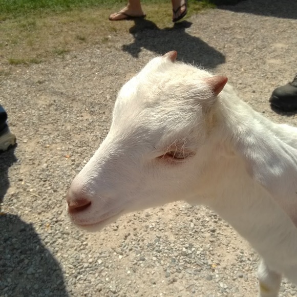 Meet your Posher, Autumn - Picture 1 of 1